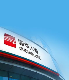 上海vi設(shè)計(jì)公司 logo設(shè)計(jì) 品牌設(shè)計(jì)公司慧目堂