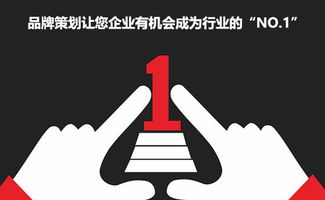 鴿子養(yǎng)殖如何通過品牌策劃建立品牌形象提高銷量與價(jià)格